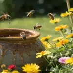 Honeypot